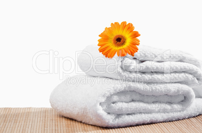 White towels under a sunflower