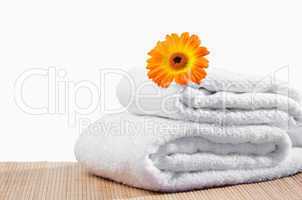 White towels under a sunflower