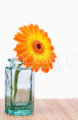 Orange sunflower in a glass flask