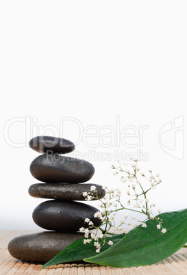 Black stones stack and small white flowers with leaves