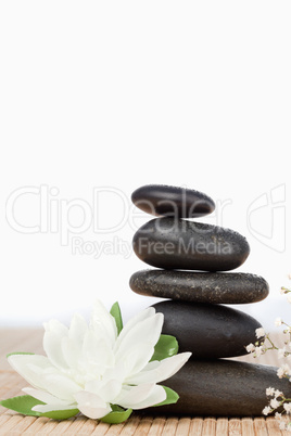 White lotus blossom with a black stoness stack a small white flo