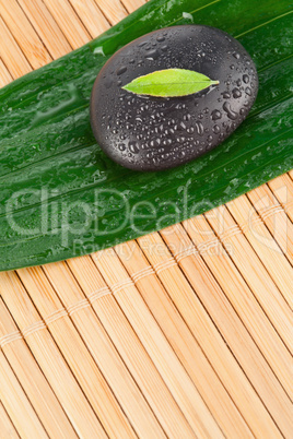 A small leaf on a black stone on a bigger leaf