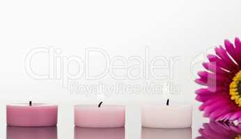 Lighted candles and a pink gerbera