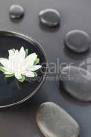 Close up of a white flower floating in a black bowl surrounded b