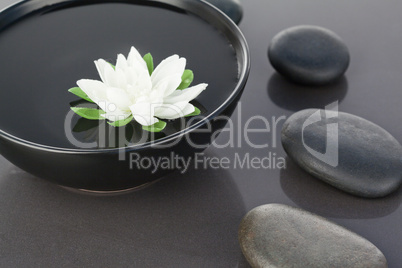 White flower floating in a black bowl surrounded by black pebble