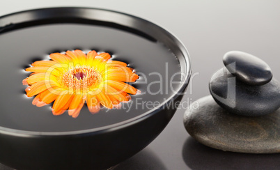 Orange flower floating on a black bowl and a stack of black pebb