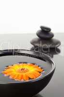 Orange gerbera floating on a black bowl and a stack of black peb