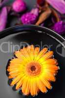 Orange flower floating in a black bowl and purple dry flowers
