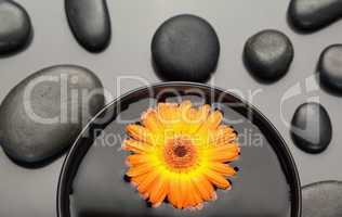 Orange gerbera floating in a bowl surrounded by black pebbles