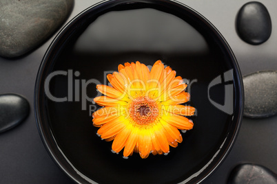 Orange flower floating in a bowl surrounded by black stones