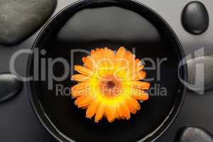 Orange flower floating in a bowl surrounded by black stones