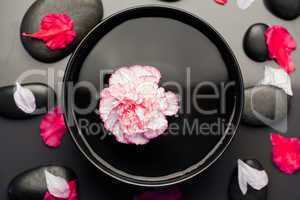 White and pink carnation floating in a black bowl surrounded by