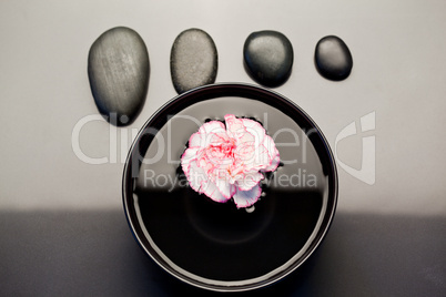 Pink and white carnation floating in a black bowl with aligned b