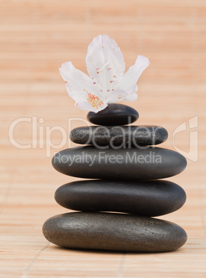 White orchid on a black stones stack