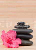 Pink orchid next to a black stones stack