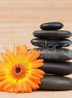 Orange sunflower and a black stones stack