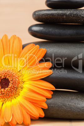 Close up of an orange sunflower and a black stones stack