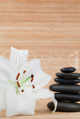 White hibiscus and a black pebbles stack