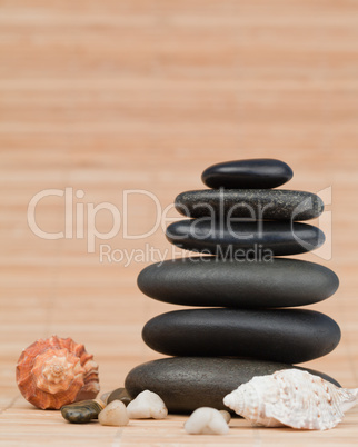 Sea shells and pebbles