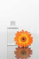 Orange gerbera and a glass flask on a mirror