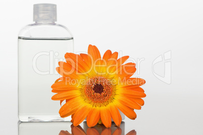 Close up of a glass flask and an orange gerbera on a mirror