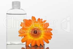 Close up of a glass flask and an orange gerbera on a mirror