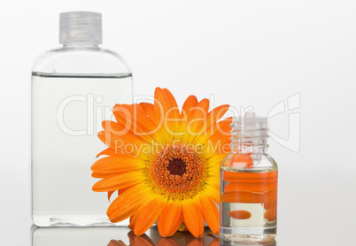 A glass phial and an orange gerbera with a glass flask