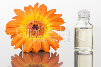 A glass phial and an orange gerbera