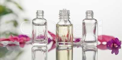 Glass flasks with leaves and pink petals focus on the flasks