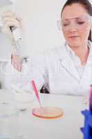 Good looking red-haired scientist using a pipette