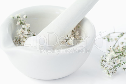 Mortar and pestle with flowers