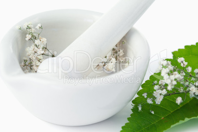 Mortar and pestle with flowers and leaf