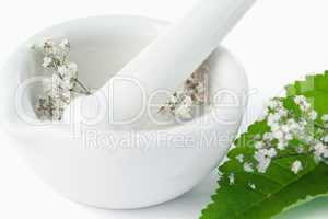Mortar and pestle with flowers and leaf