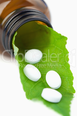 Leaf and pills in a small bottle