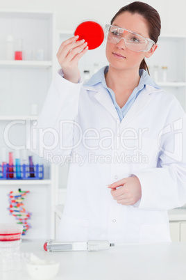 Scientist looking at a sample