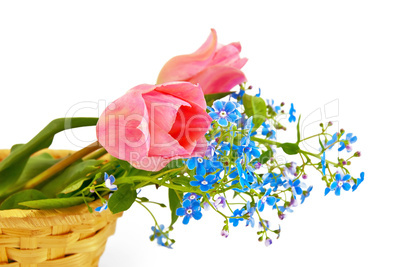 Pink tulips in a basket