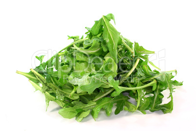 Rucola