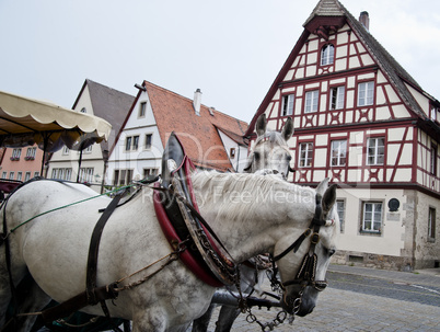 Horse Carriage and Frame Houses