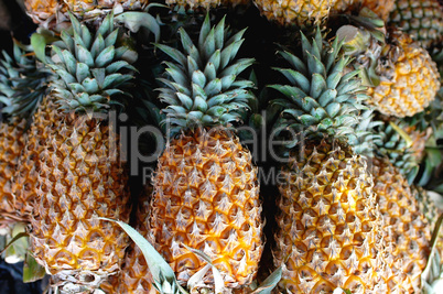 Pineapples