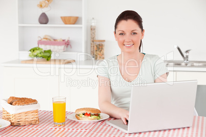 Good looking woman posing while relaxing with her laptop at lunc