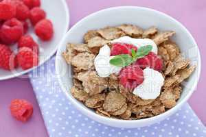 Vollkornflakes und Himbeeren / whole wheat flakes and raspberrie