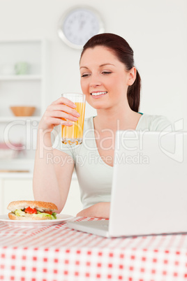 Good looking woman relaxing on her laptop and posing while drink