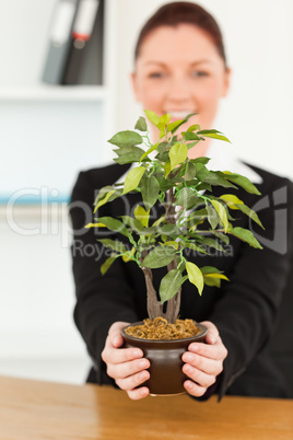 Young businesswoman holding a plant