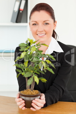 Cute businesswoman holding a plant
