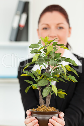 Businesswoman holding a plant