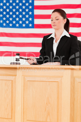 Focused judge knocking a gavel