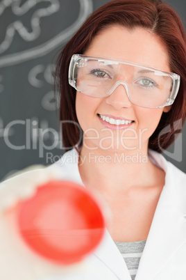 Portrait of a gorgeous scientist holding a petri dish with the c