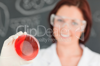 Close up of a cute scientist looking at a petri dish with the ca
