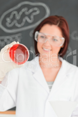 Portrait of a red-haired scientist looking at a petri dish