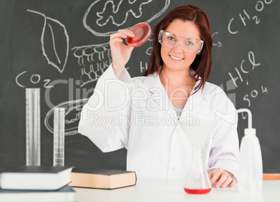 Beautiful scientist showing a petri dish